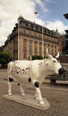 Picture of a musical cow