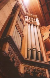 The Willis organ of Port Sunlight